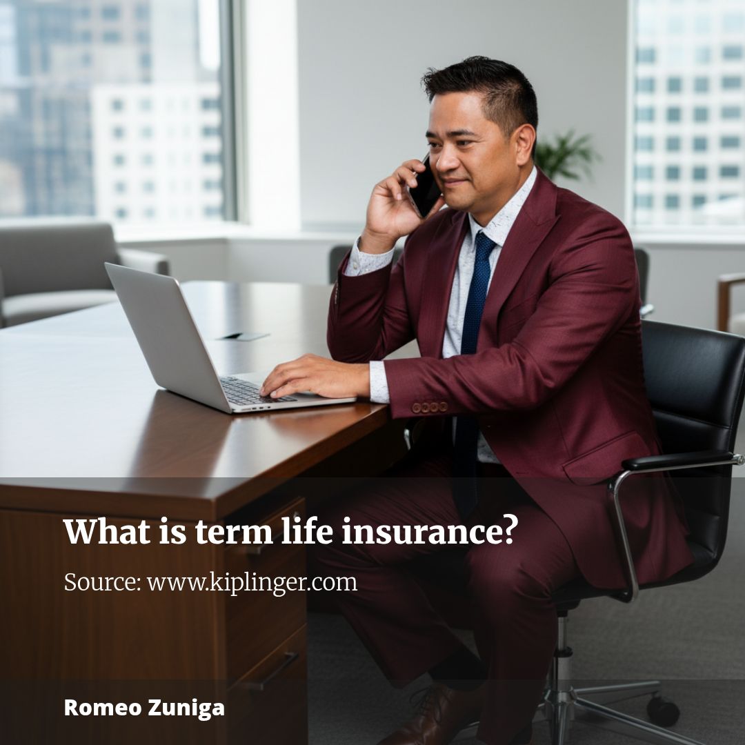 What is term life insurance?